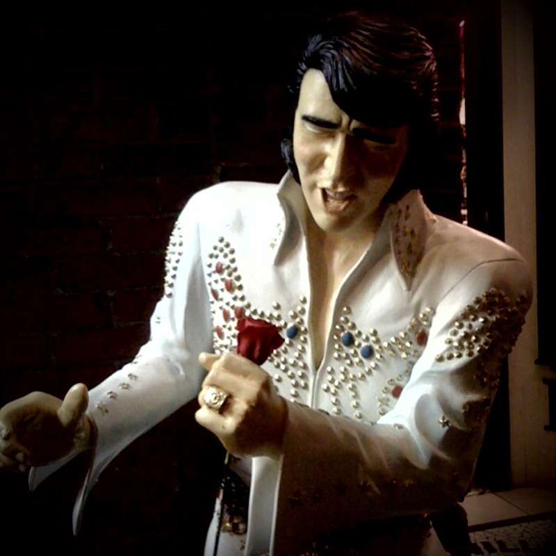 elvis