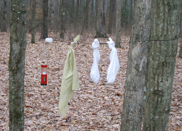 In use on the Fiery Gizzard trail In use on the Fiery Gizzard trail
