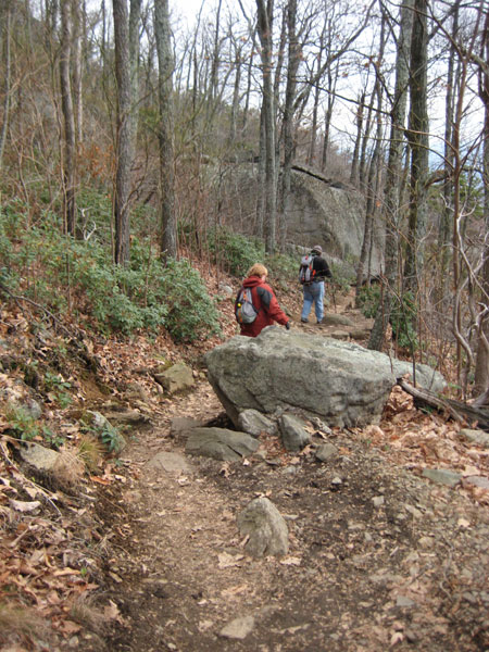 We are all walking the same trail...
