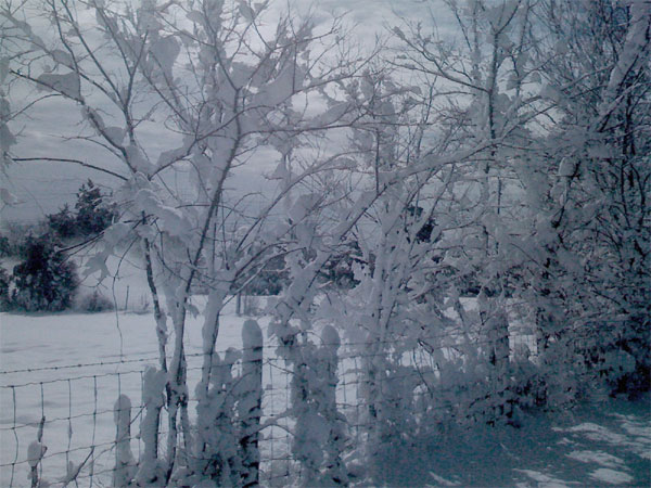 Snow in March Keep warm, Spring is almost here...