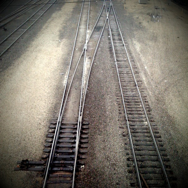 Some tracks are easier to follow than others...